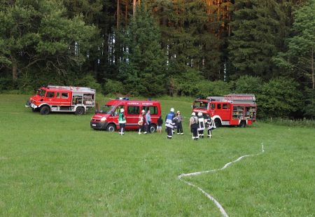 Waldbrandübung Feuerwehr Eschbronn Feuerwehr Dunningen